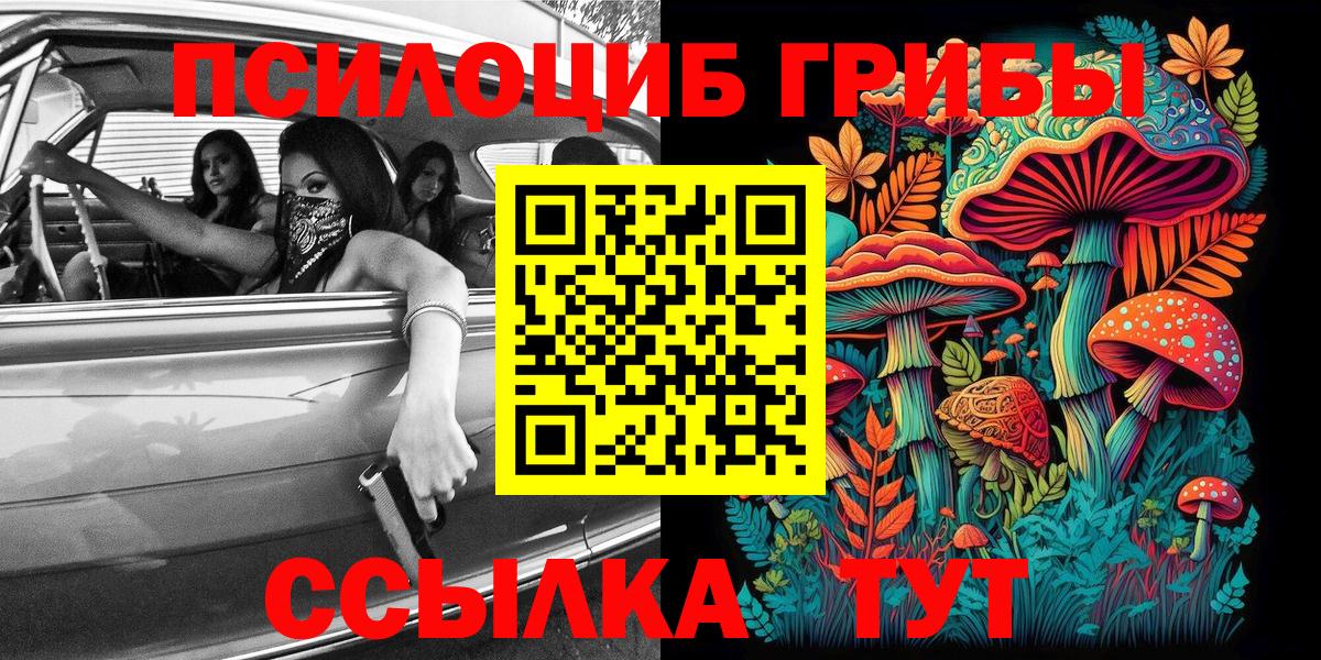 Псилоцибиновые грибы ЛСД Моздок